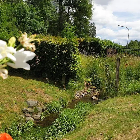 Holiday home Flechtdorfer Waldblick: Spacious With Stream And Terrace *