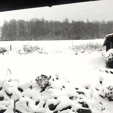 Flechtdorfer Waldblick: Spacious With Stream And Terrace *