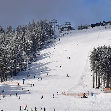 Holiday home Flechtdorfer Waldblick: Spacious With Stream And Terrace Diemelsee