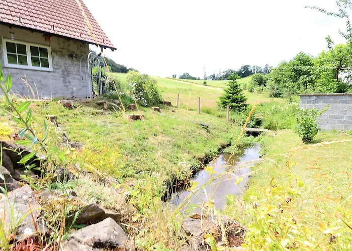 Holiday home Flechtdorfer Waldblick: Spacious With Stream And Terrace Diemelsee