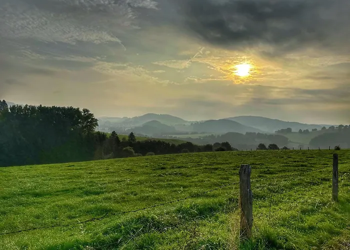 Flechtdorfer Waldblick: Spacious With Stream And Terrace Holiday home *